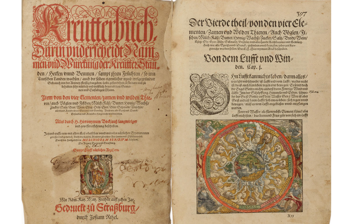 Hieronymus Bock, Kreüterbüch..., Strasburgo, Josiam Rihel, 1556, Biblioteca inv.1449