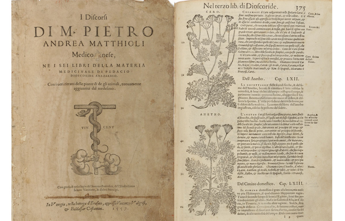 Pietro Andrea Mattioli, I Discorsi..., Venezia, Vincenzo Valgrisi e Baldassarre Costantini, 1557